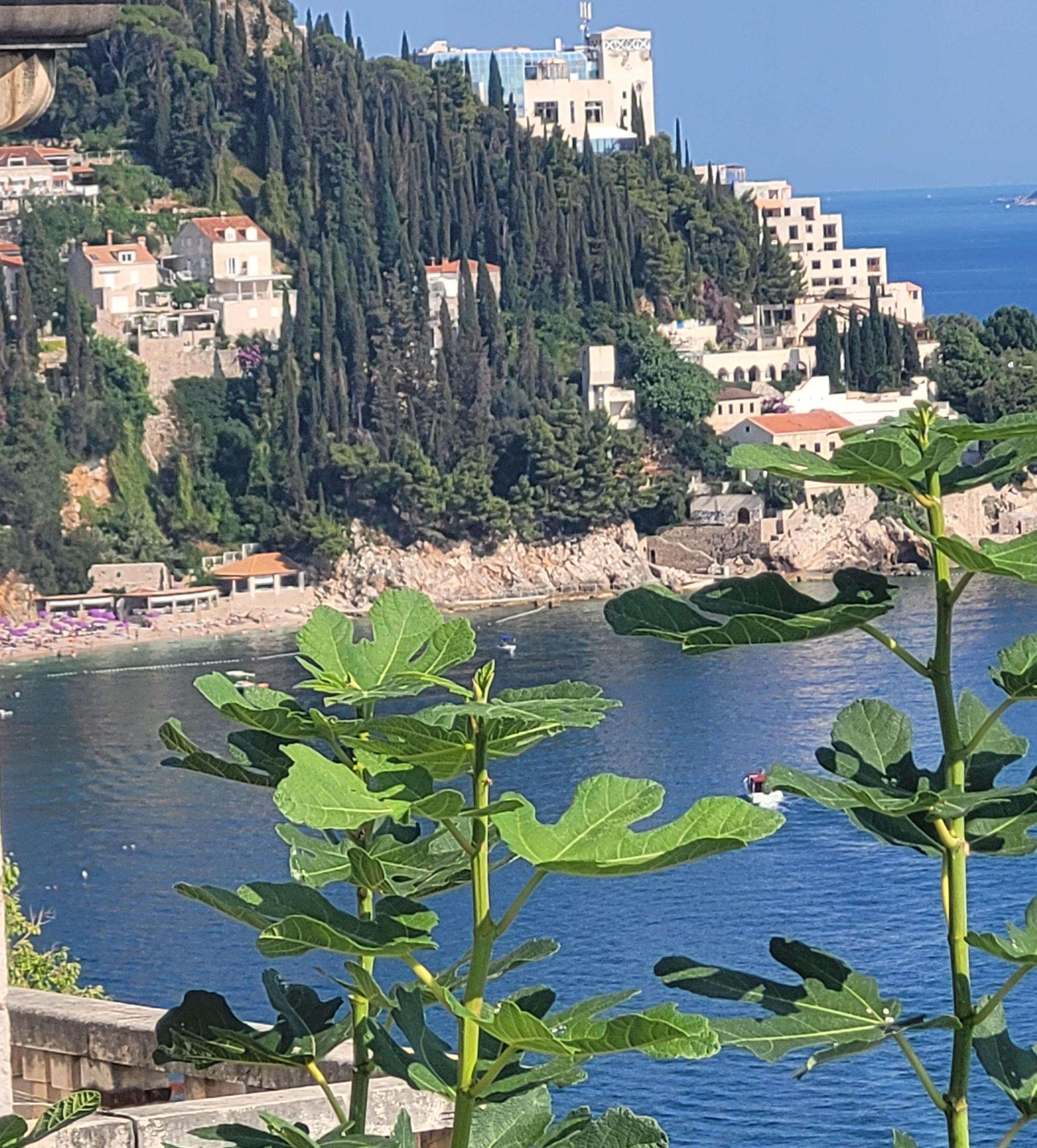 View towards Sveti Jakov beach from terrace