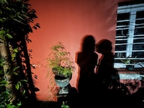 Shadows on the patio