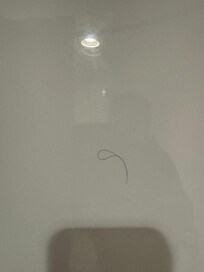 Shower wall