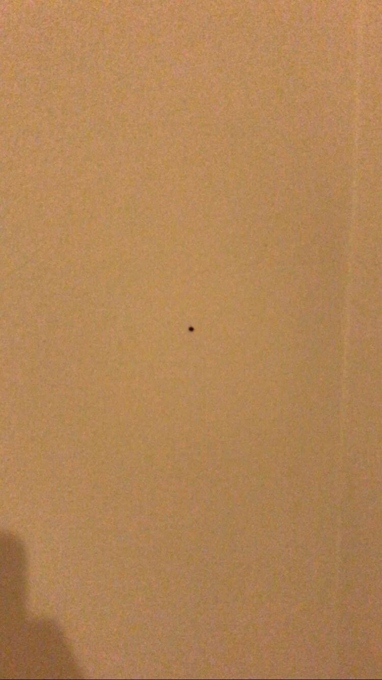 Und an der Wand