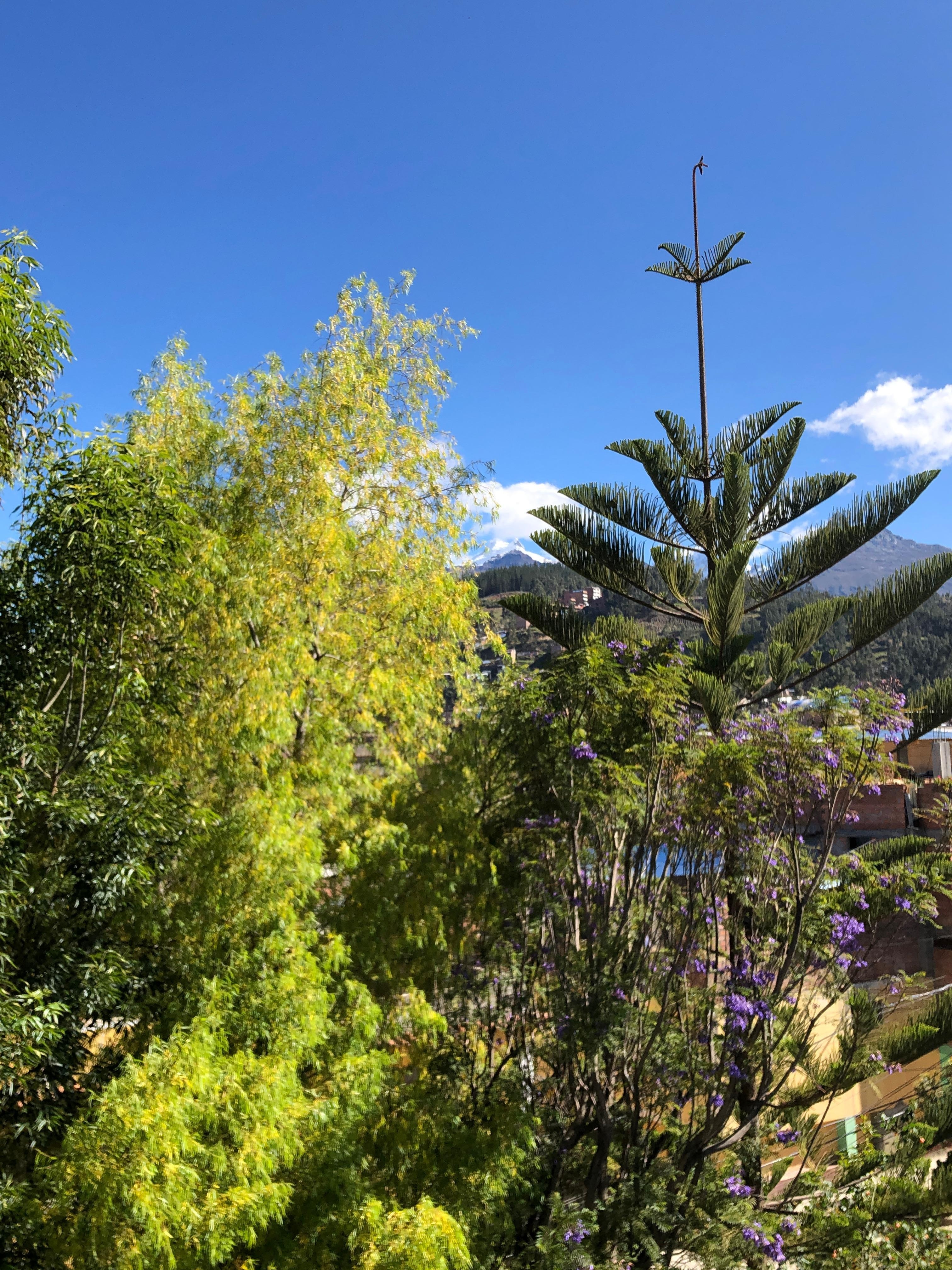 La vista desde el balcón de la habitación deluxe