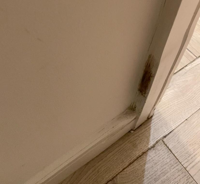 Mold and mildew on bedroom doorframe. 