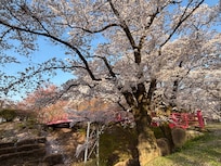 春日公園