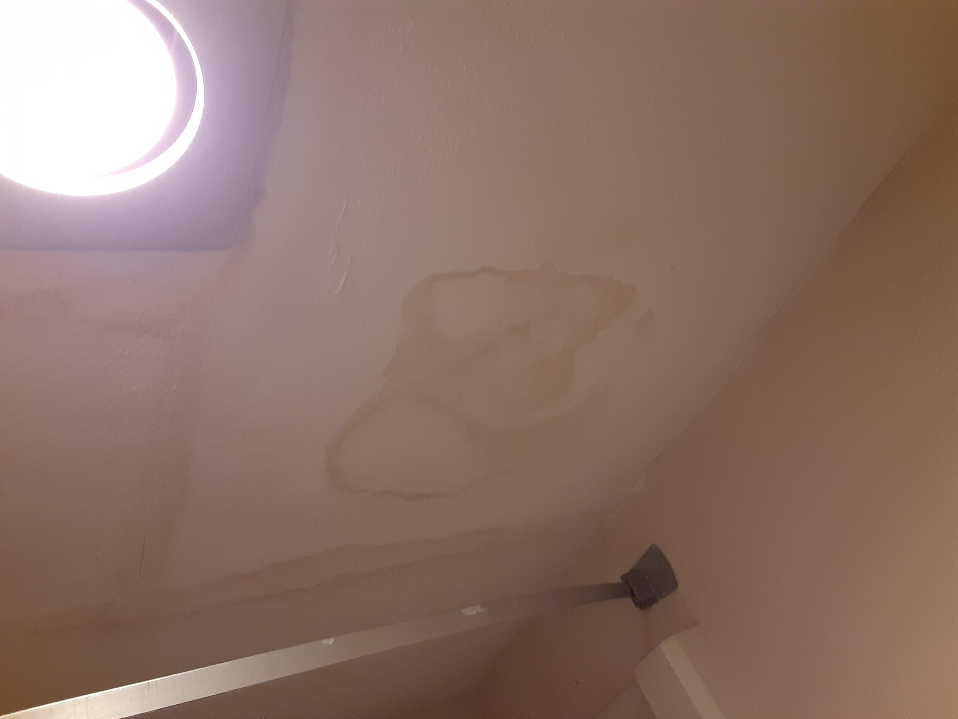 Remnants of a toilet leak. Left wondering if leak was still an issue
