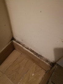 Floor in living room,