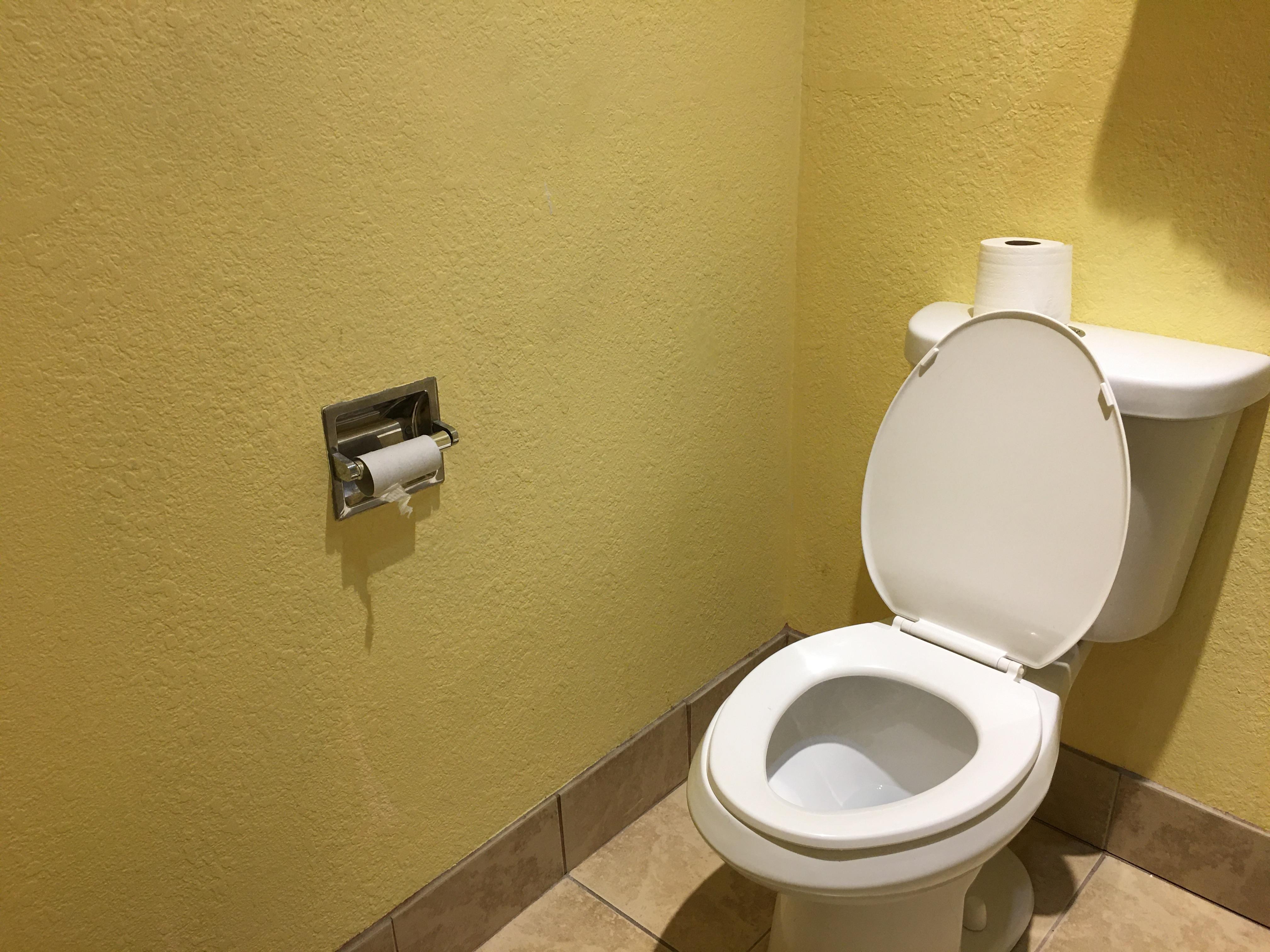 Empty toilet paper roller