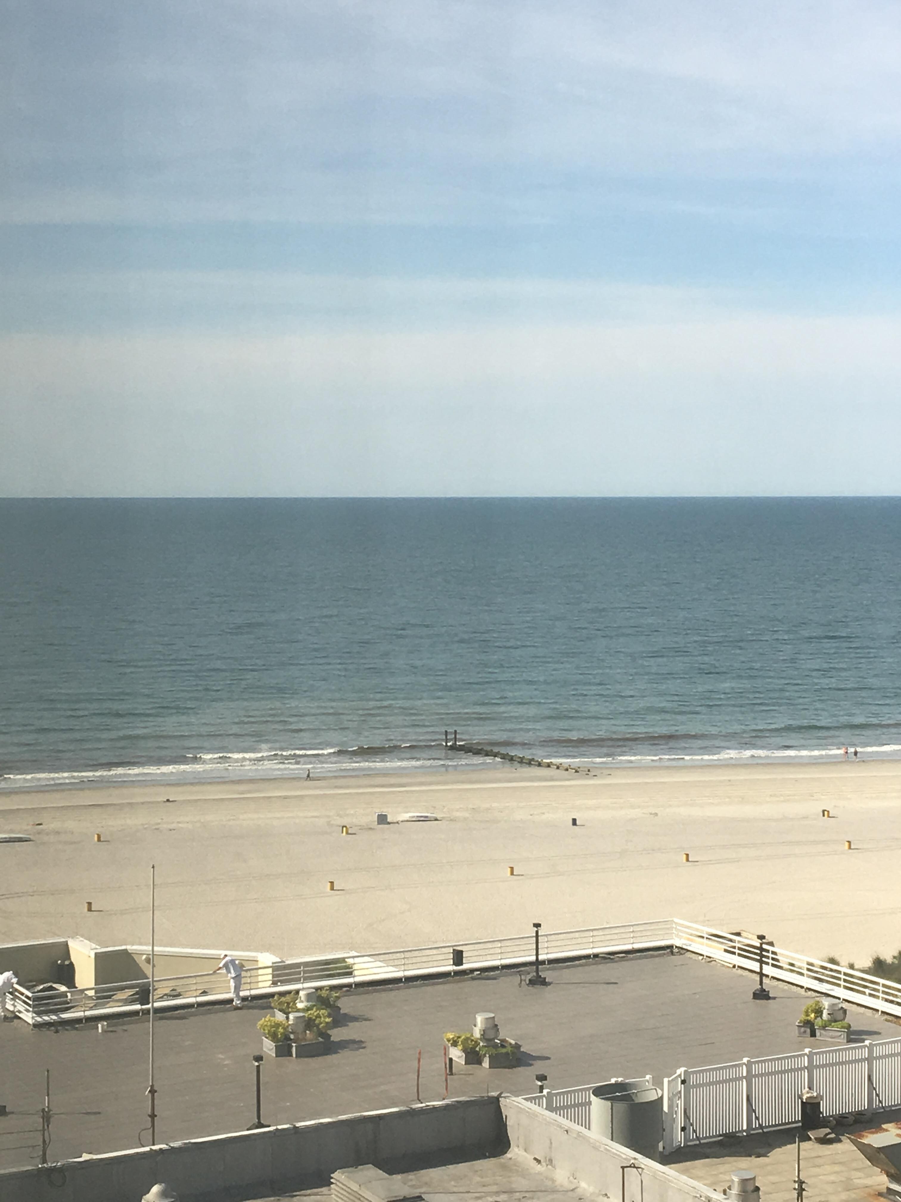 The view