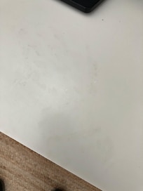 Video of live bug in bed and they wouldn’t wash our clothes