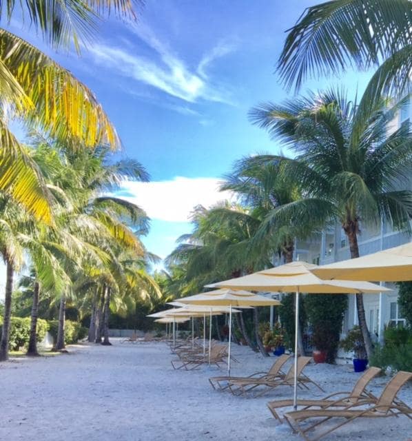 Tropical vacation paradise.