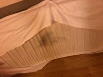 Mugpletter undersiden af madrassen