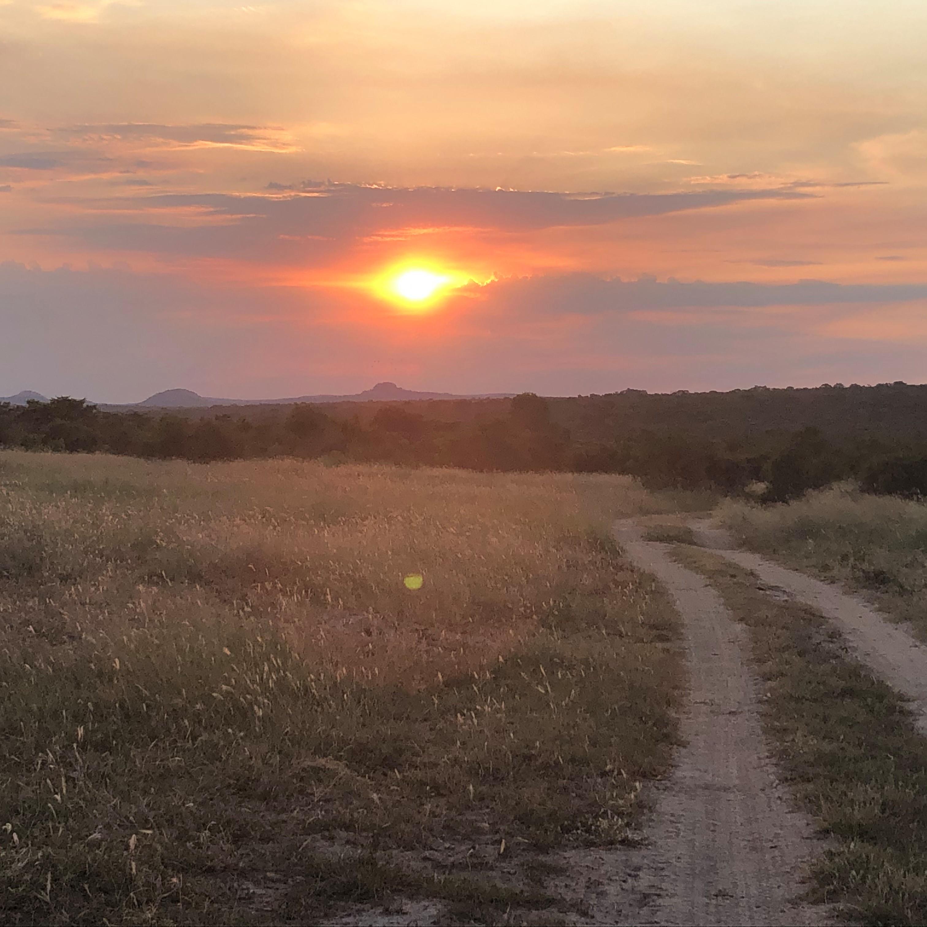 jock safari lodge south africa