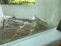 The view from the room