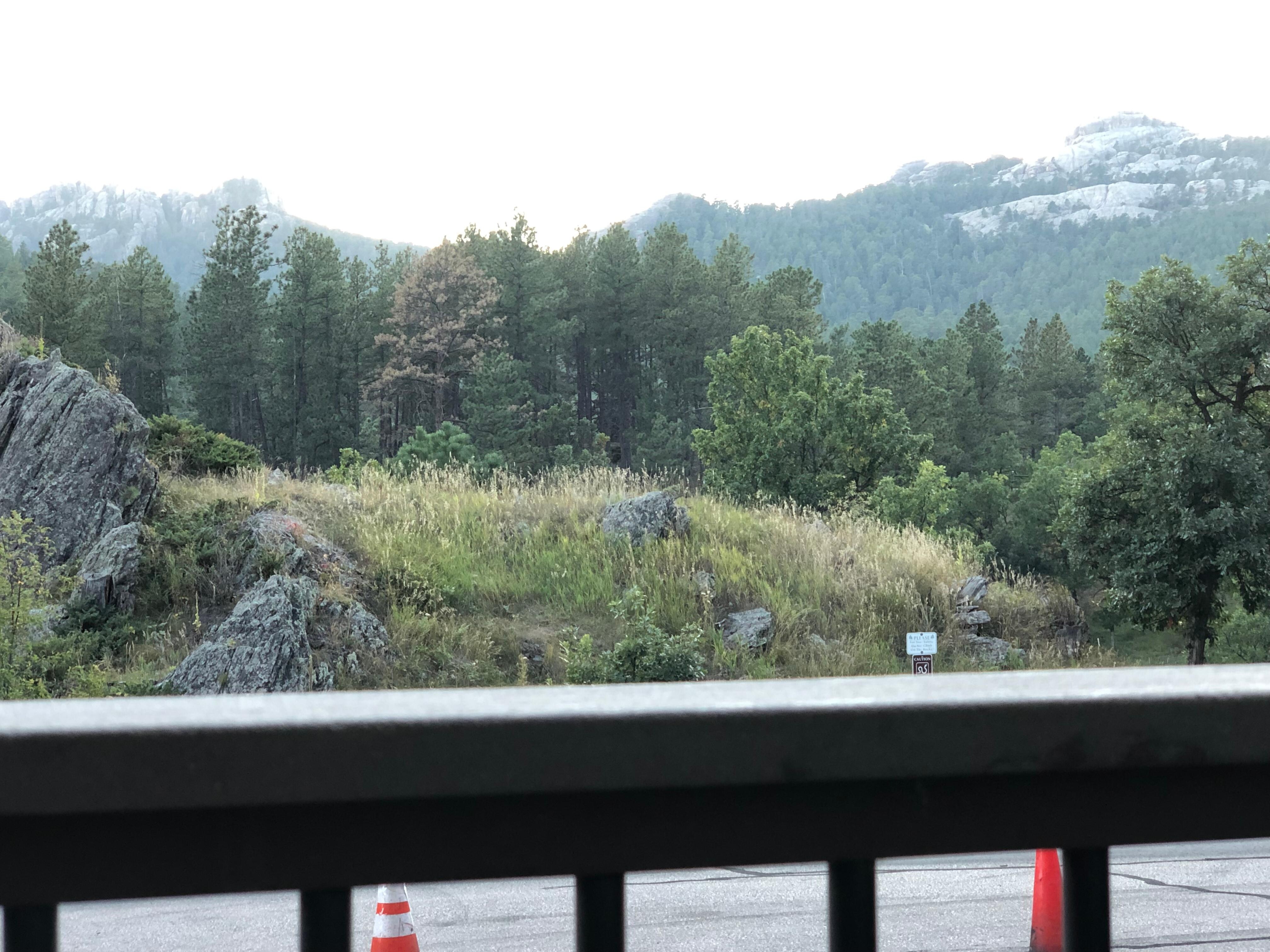 From our balcony - we could see george!