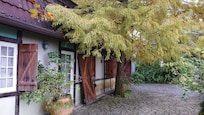 the property (2nd building)