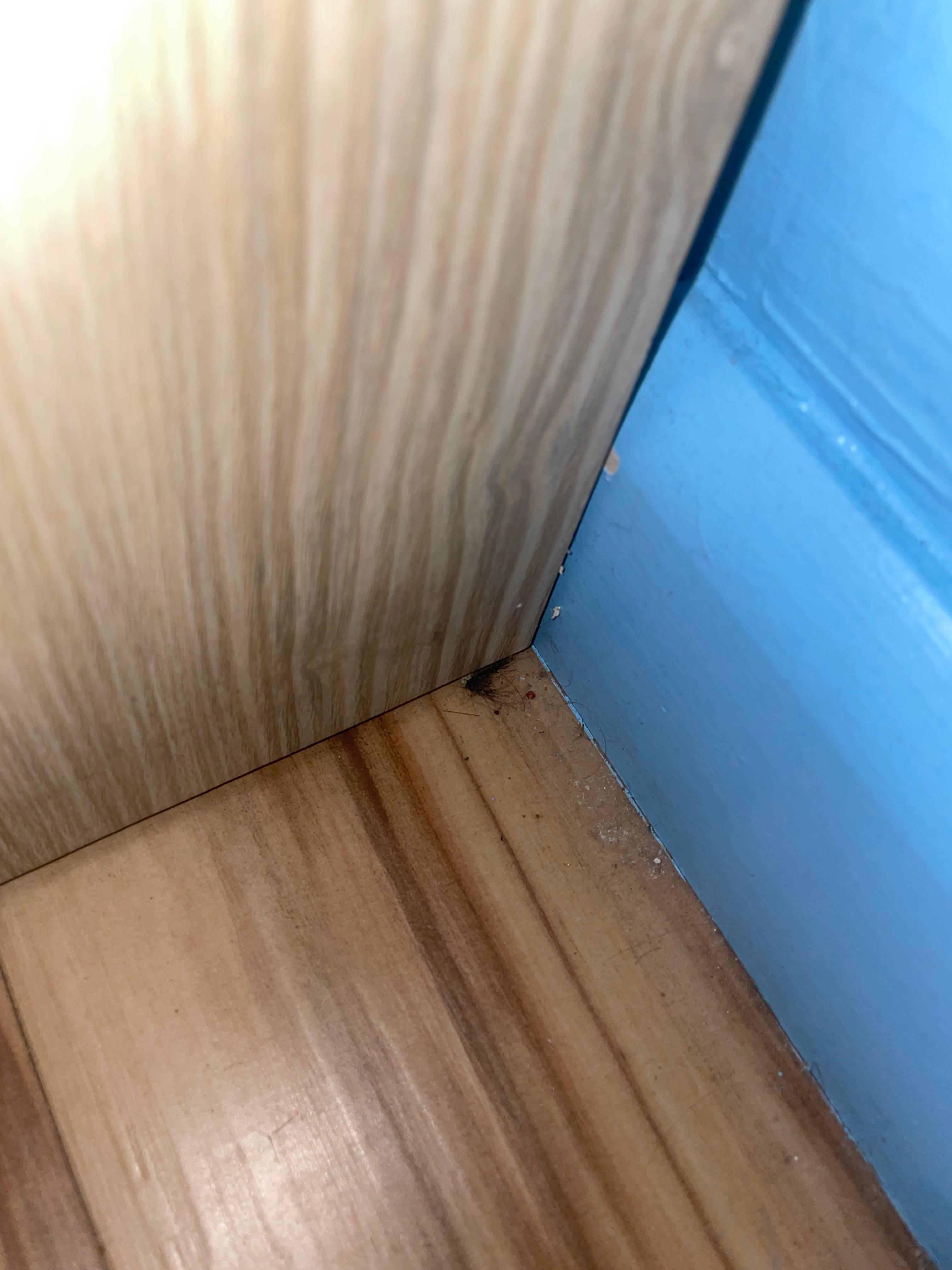 Clumps of hair found around the room