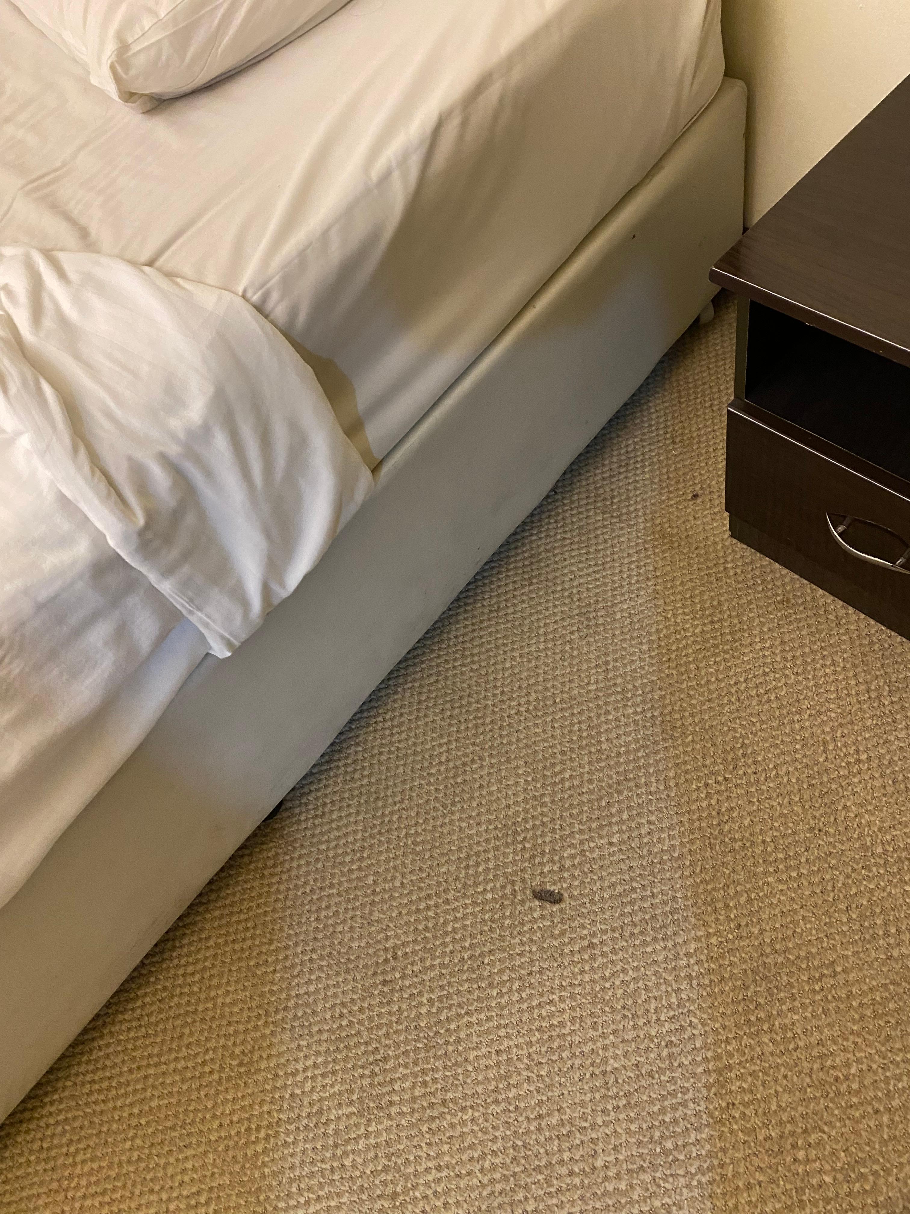 Stains on the rug and an old bed with poking springs 