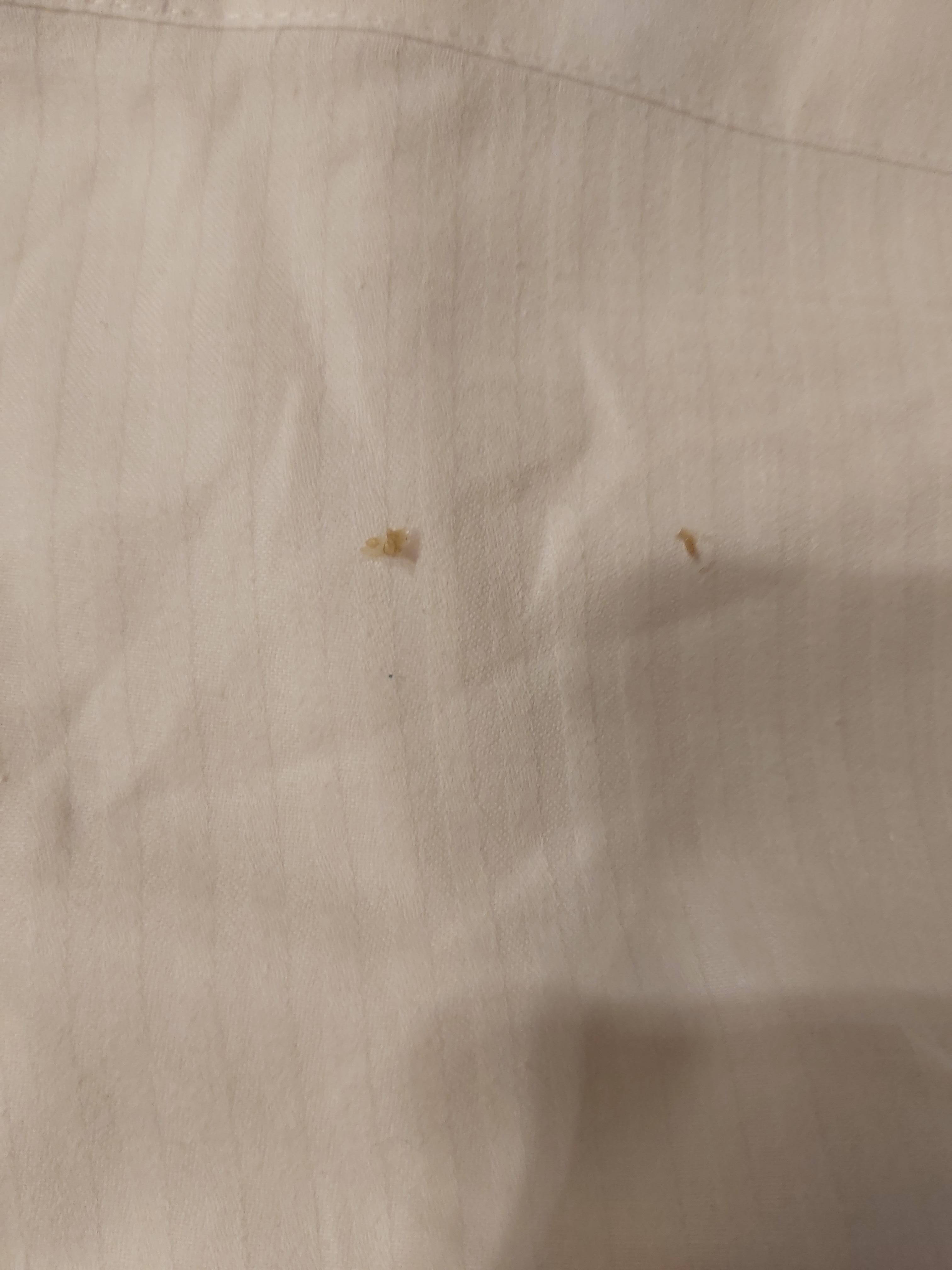 Dried snot in the bed sheet