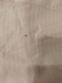 Dried snot in the bed sheet
