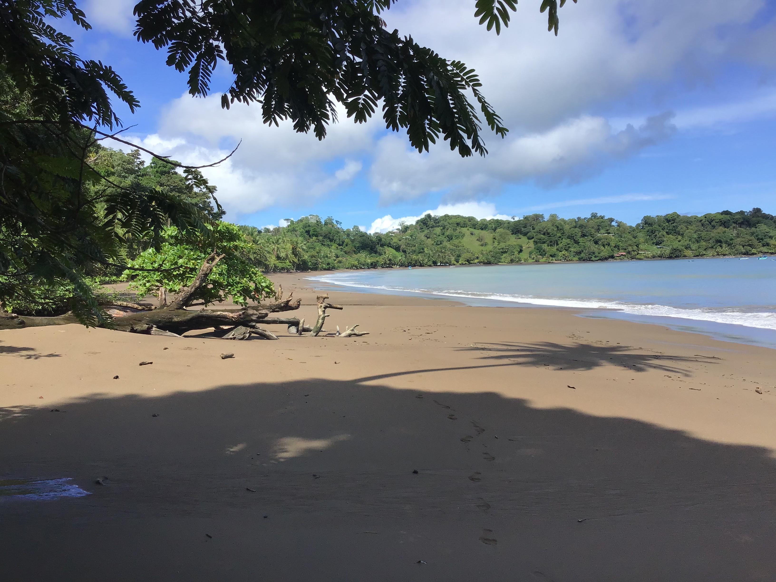 Their beautiful beach