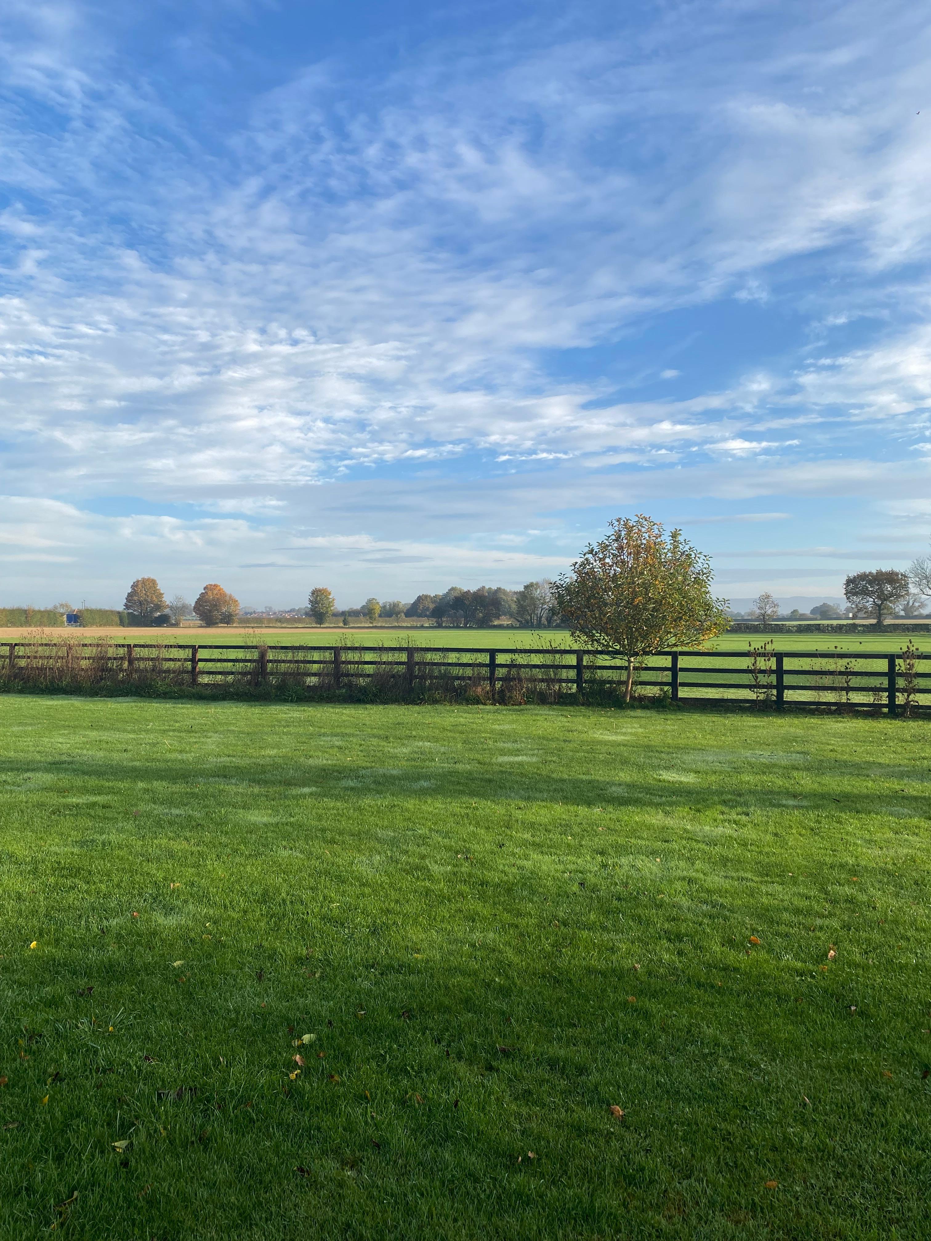 View from front door. 