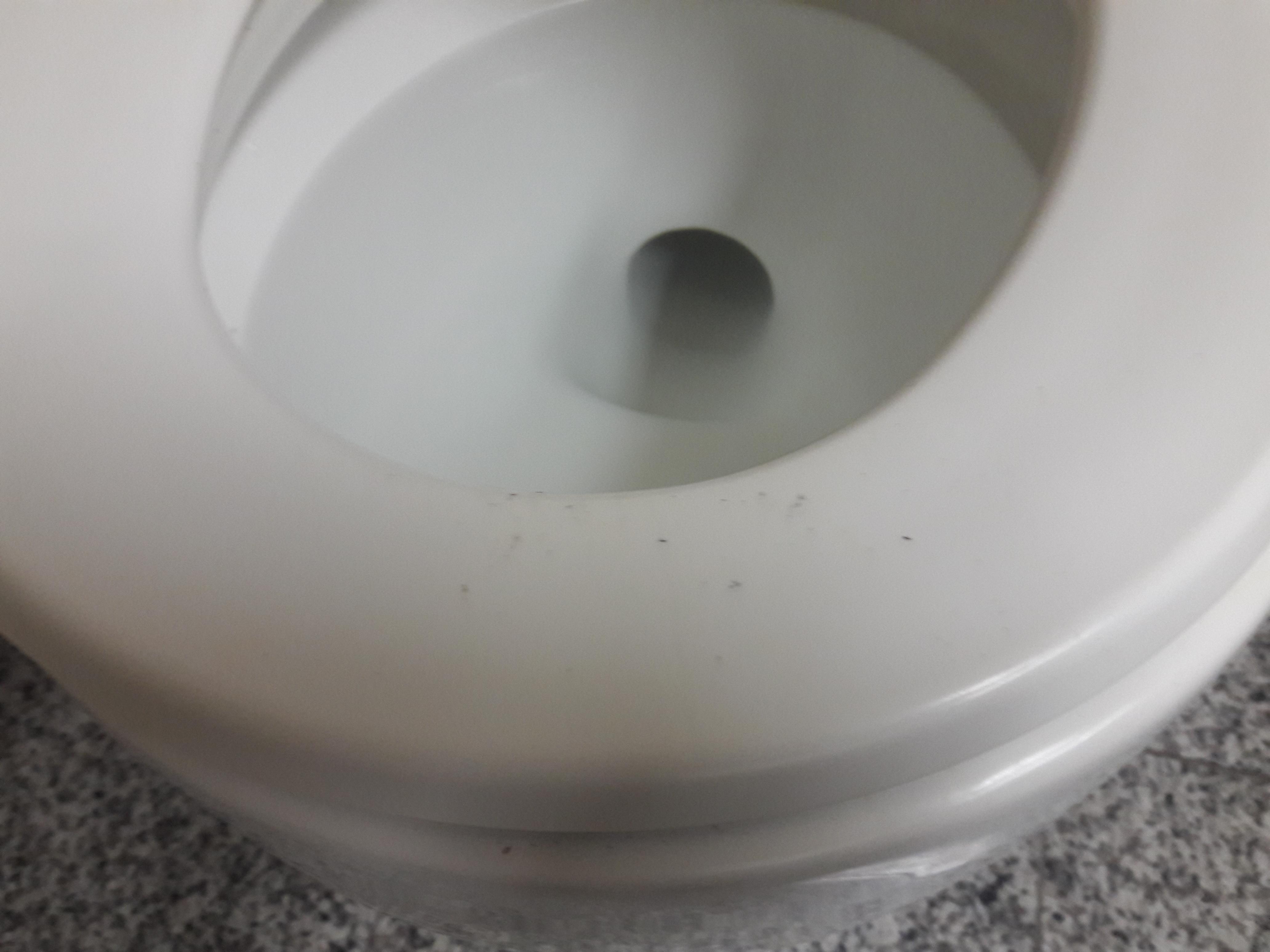 Dirty Toilet