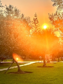 Amanecer en el parque el Olivar