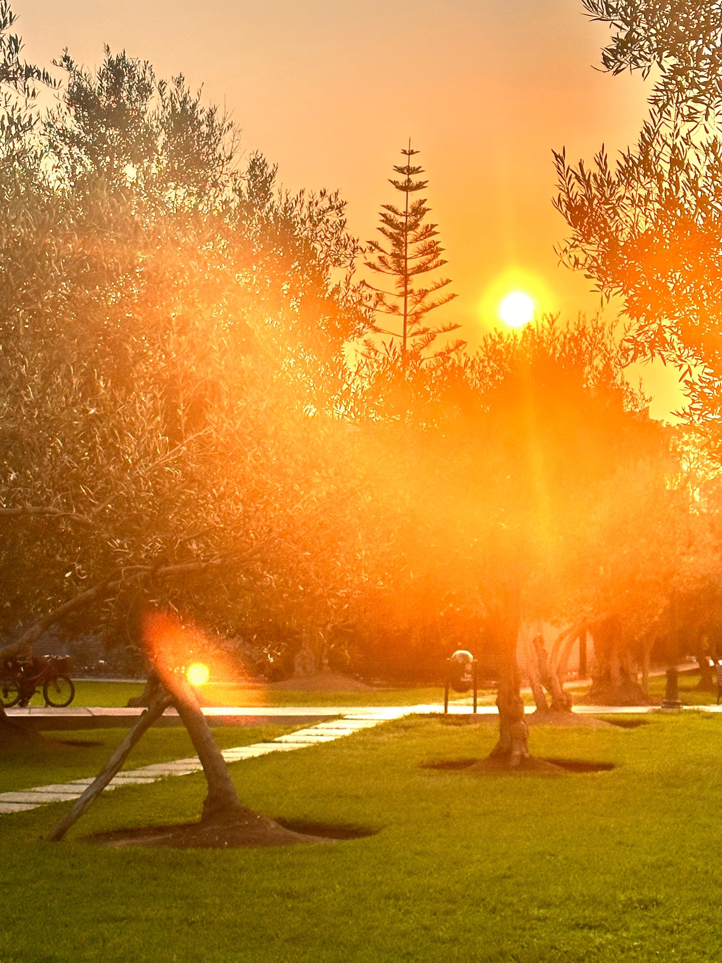 Amanecer en el parque el Olivar