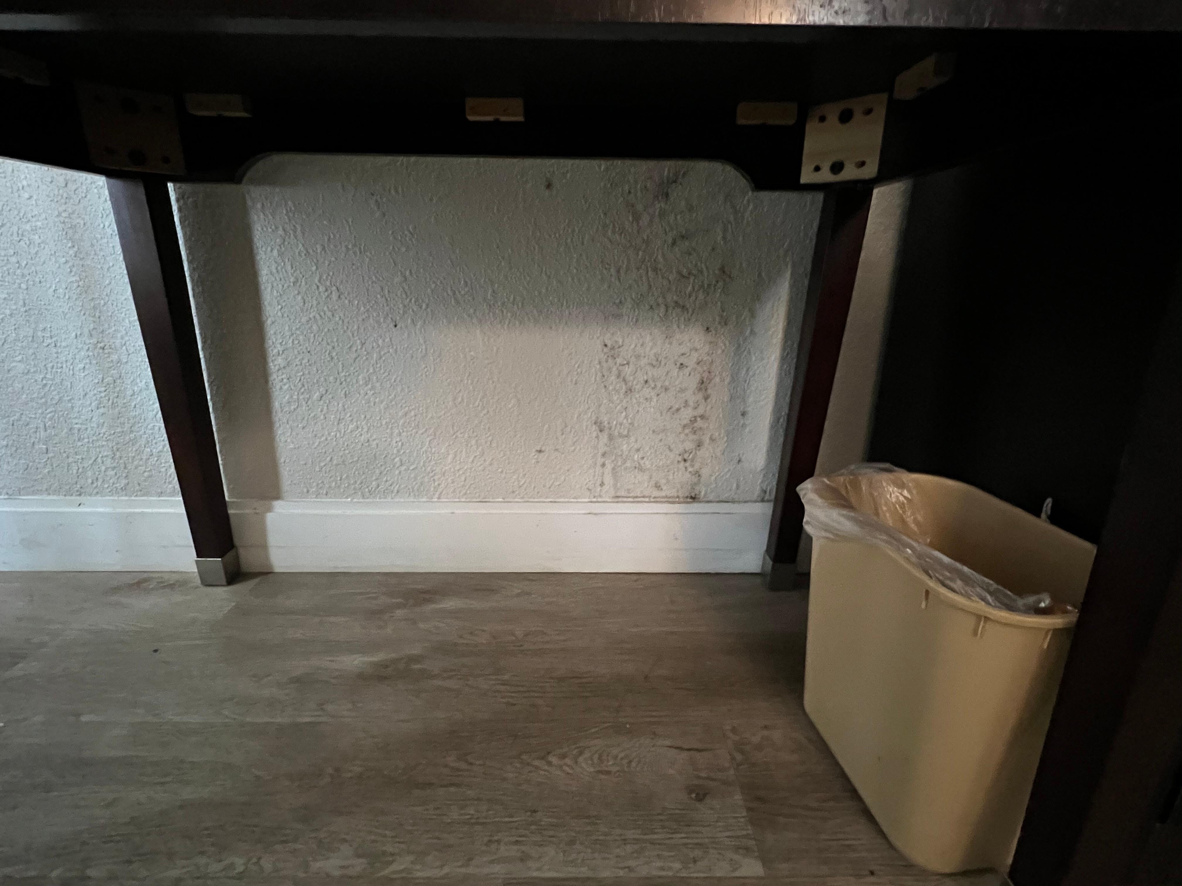 Not sure what exactly this is, but my guess is mold