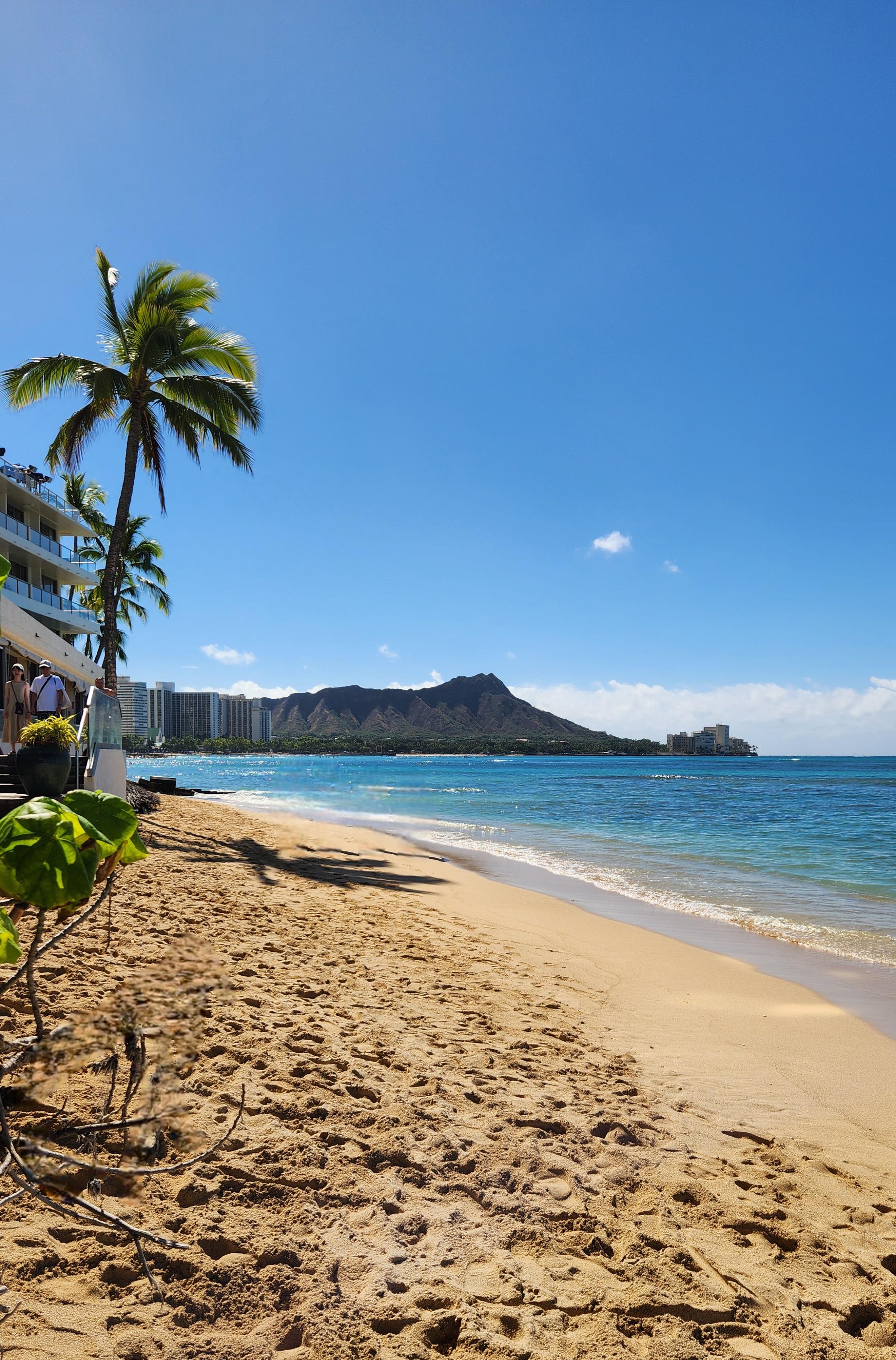 From beach right outside complex facing Diamond Head