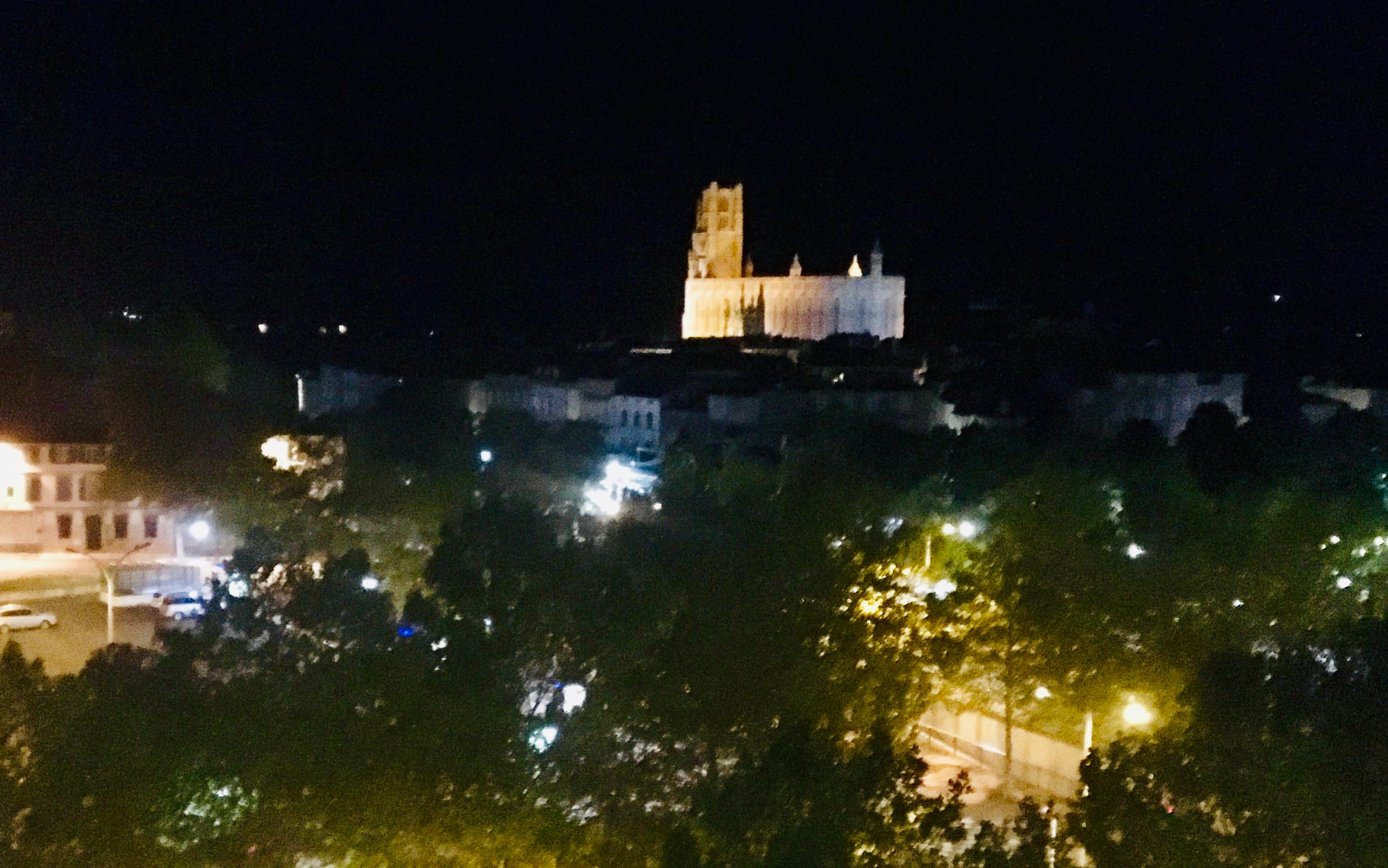 The night view of the Cathedral from our room window!