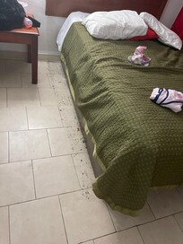 The filth under the bed.