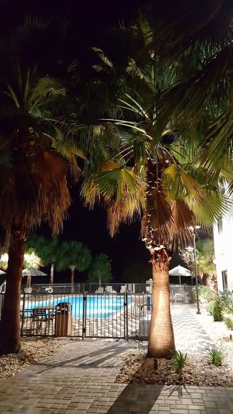 Court yard