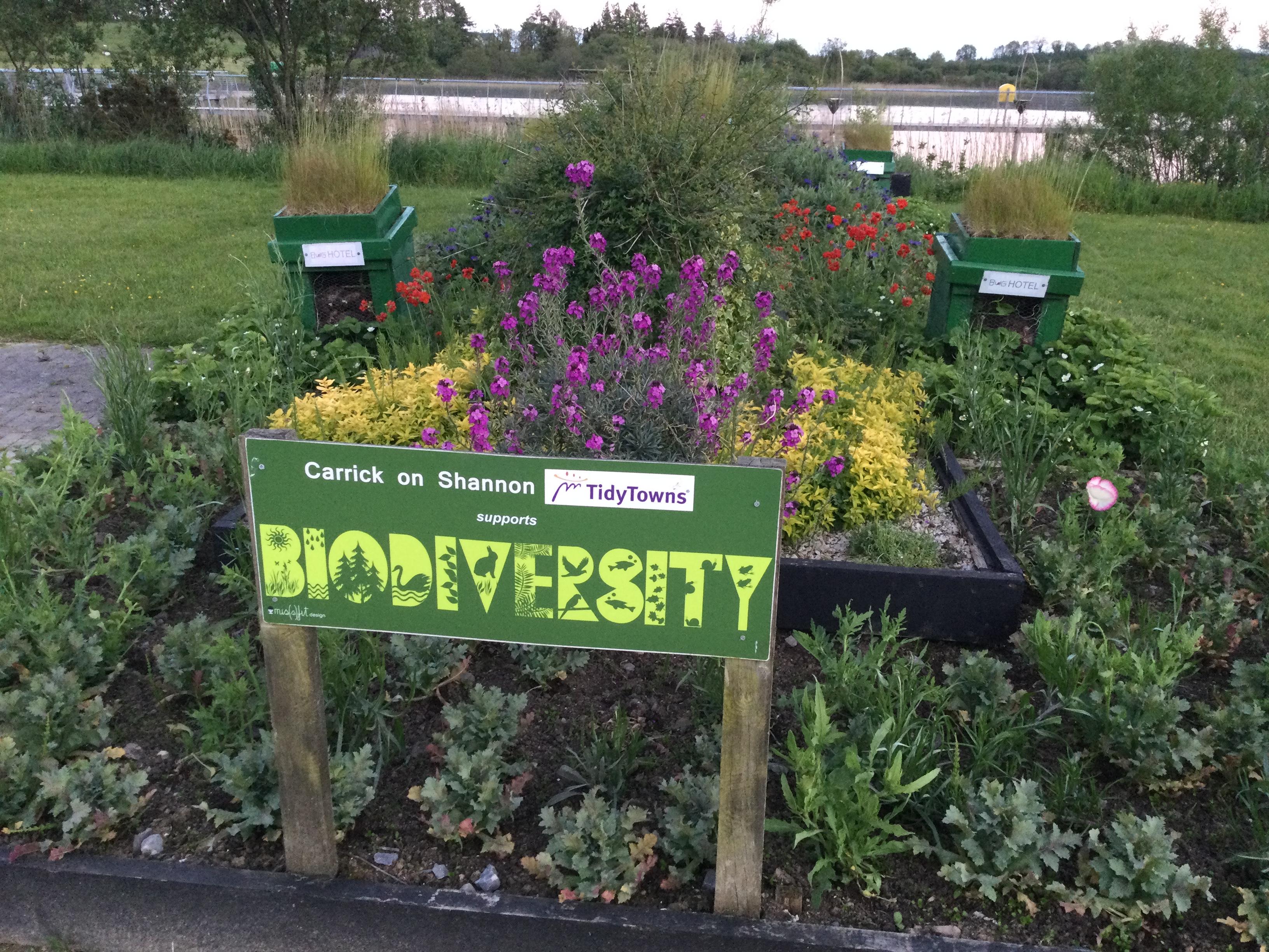 Carrick on Shannon is putting in a lot of effort in Ireland's Tidy Towns competition