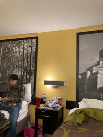 Huge pictures and comfortable beds and furniture