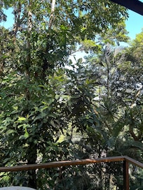 Vista do quarto