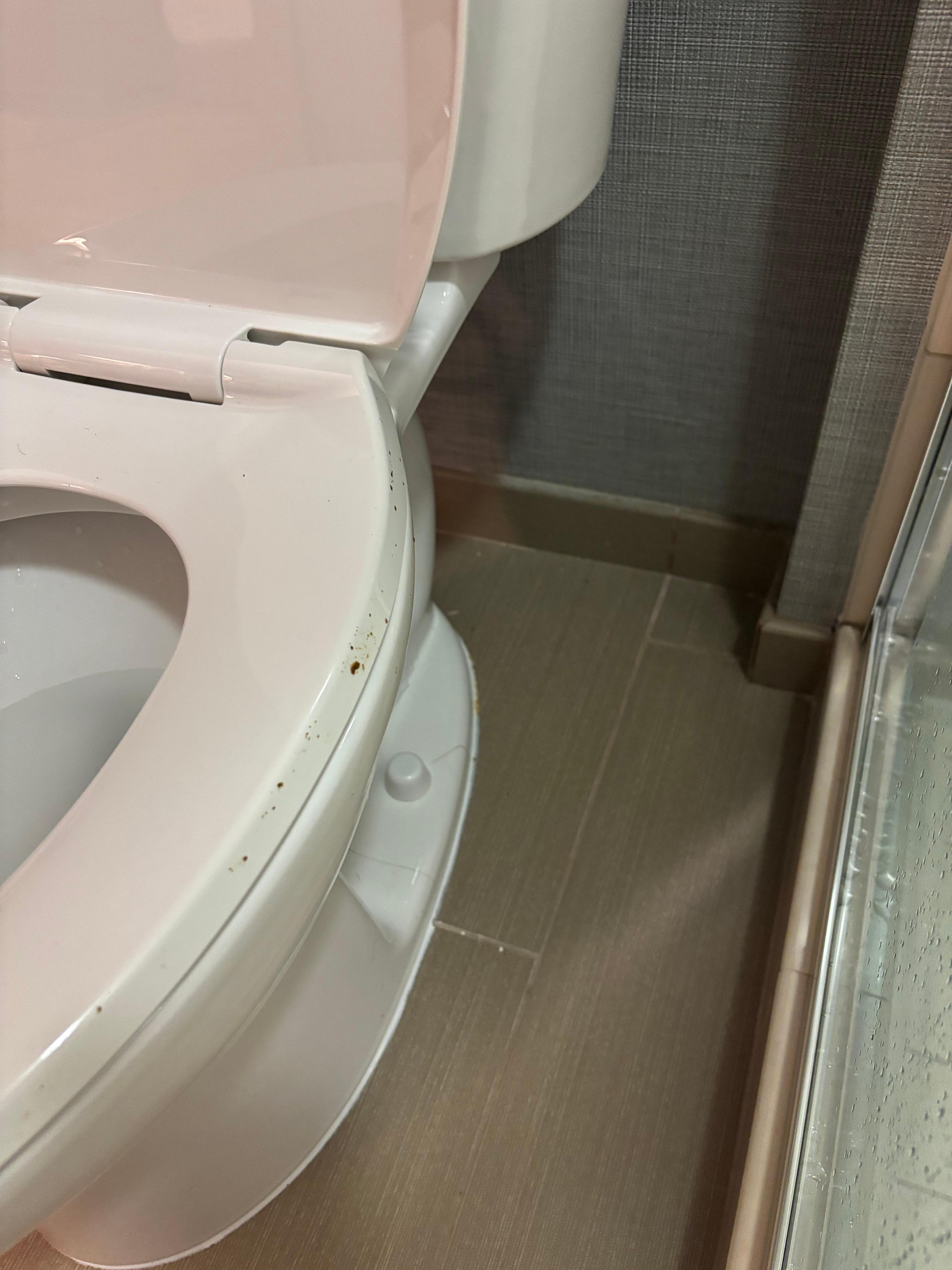 Dirty toilet