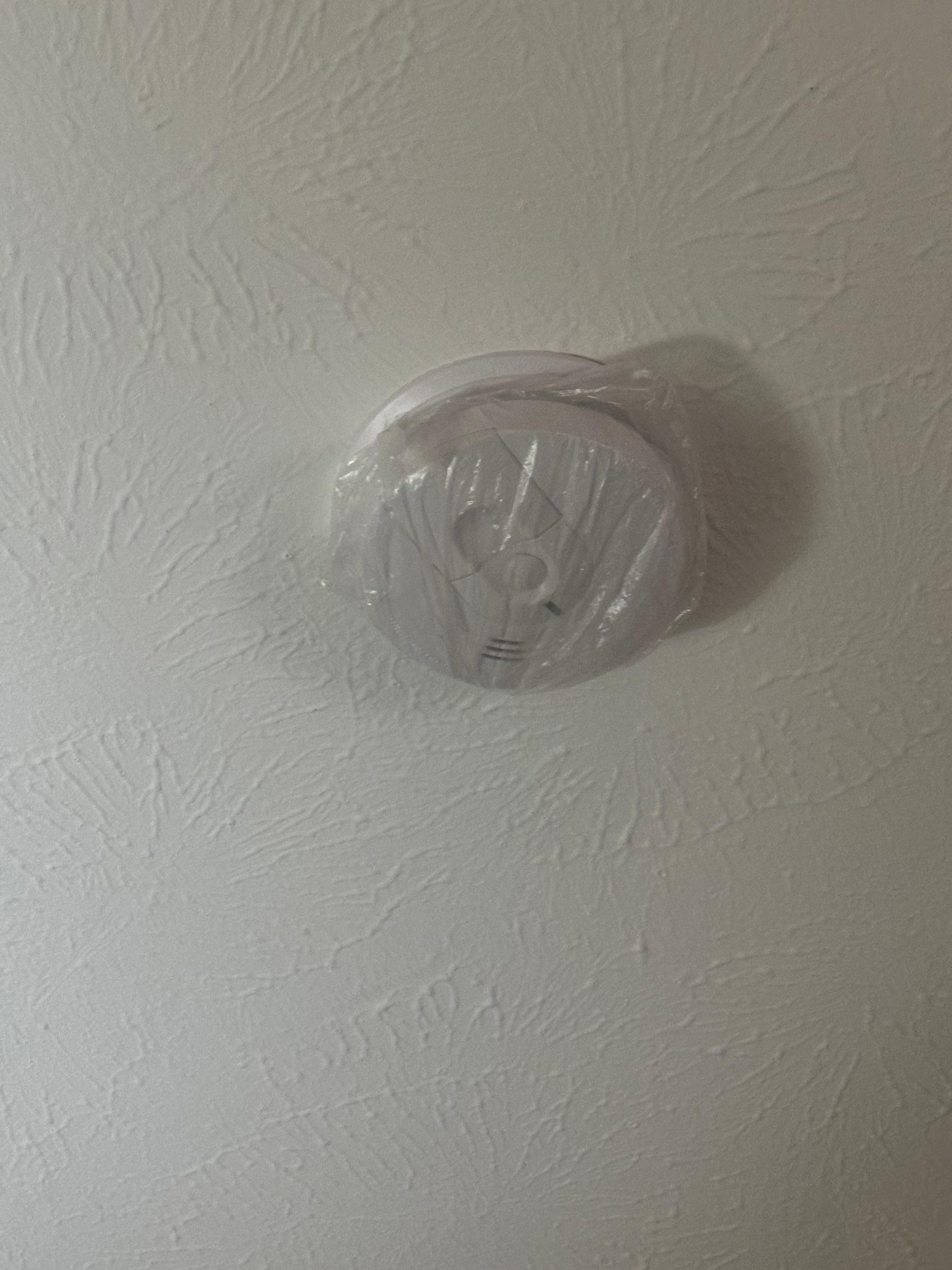Plastic over fire detector