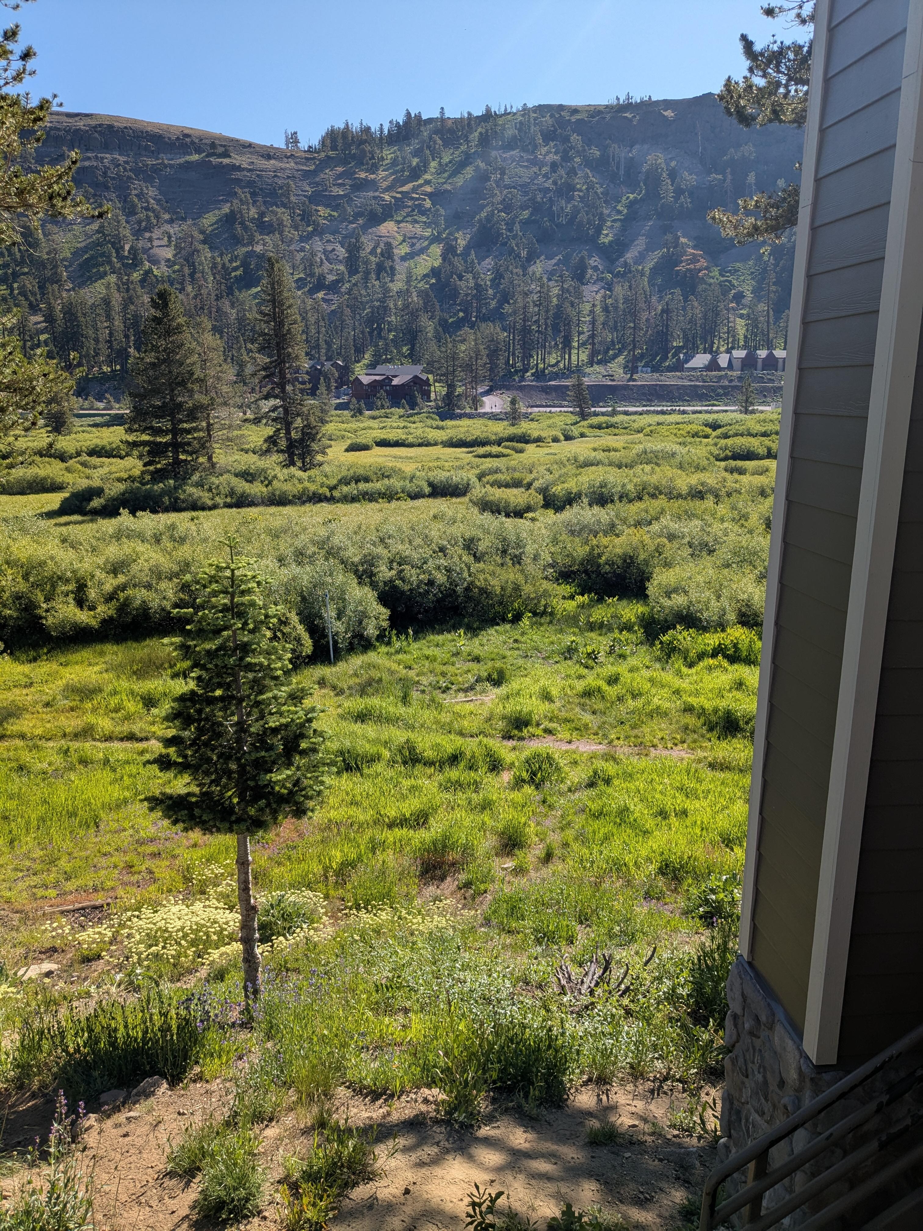 Meadow view from the common area balcony 