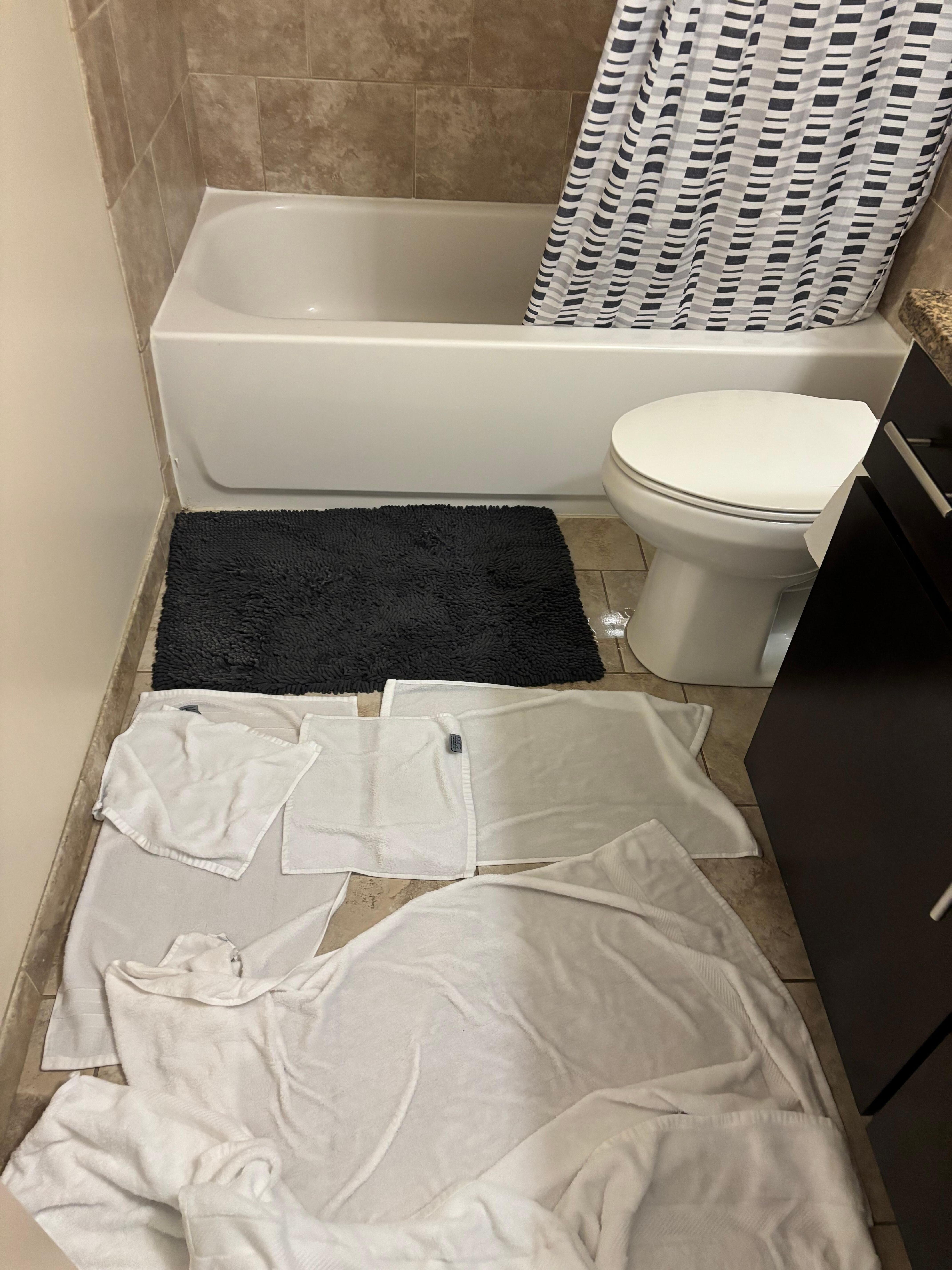 Flooded toilet