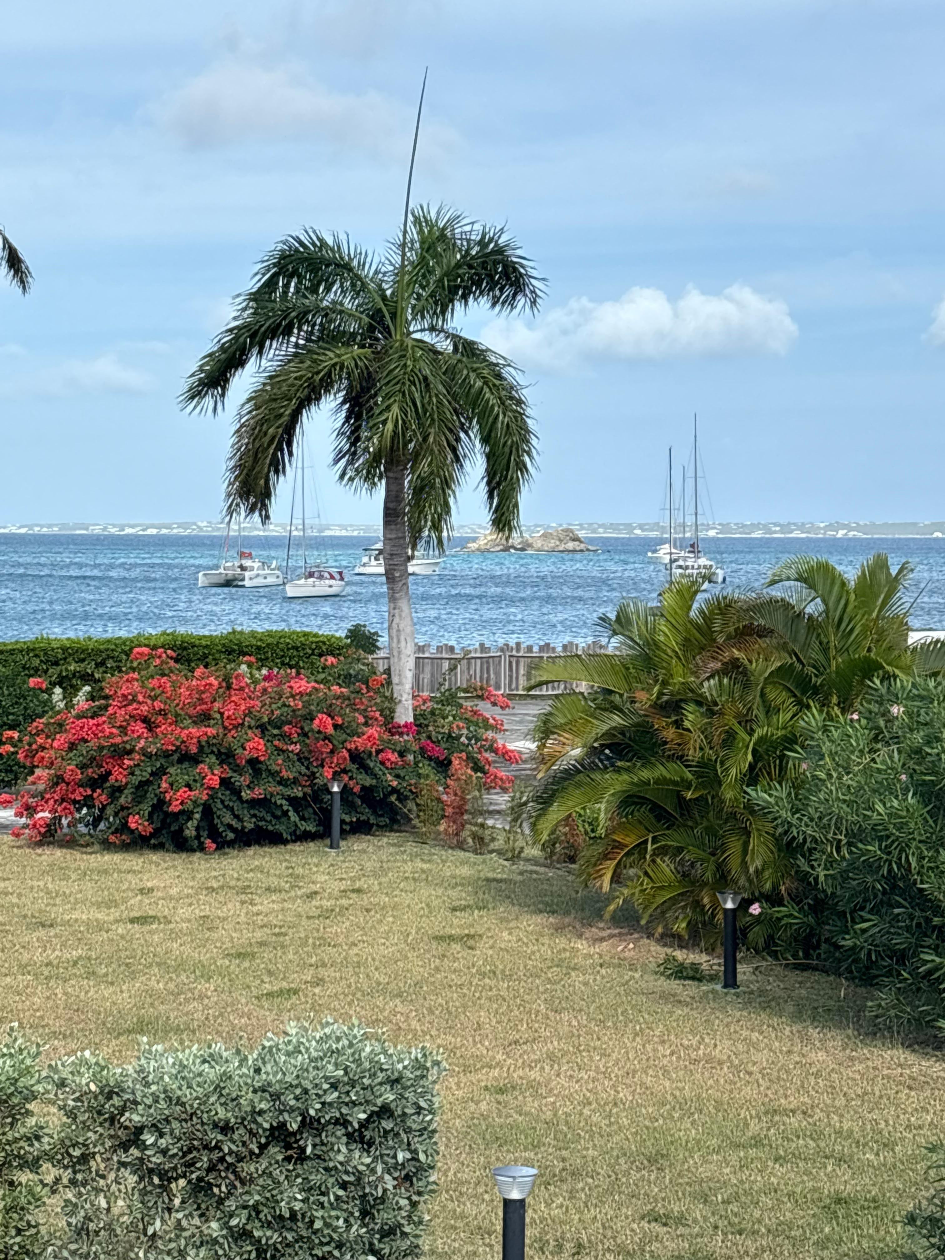 The view from our room and patio. 