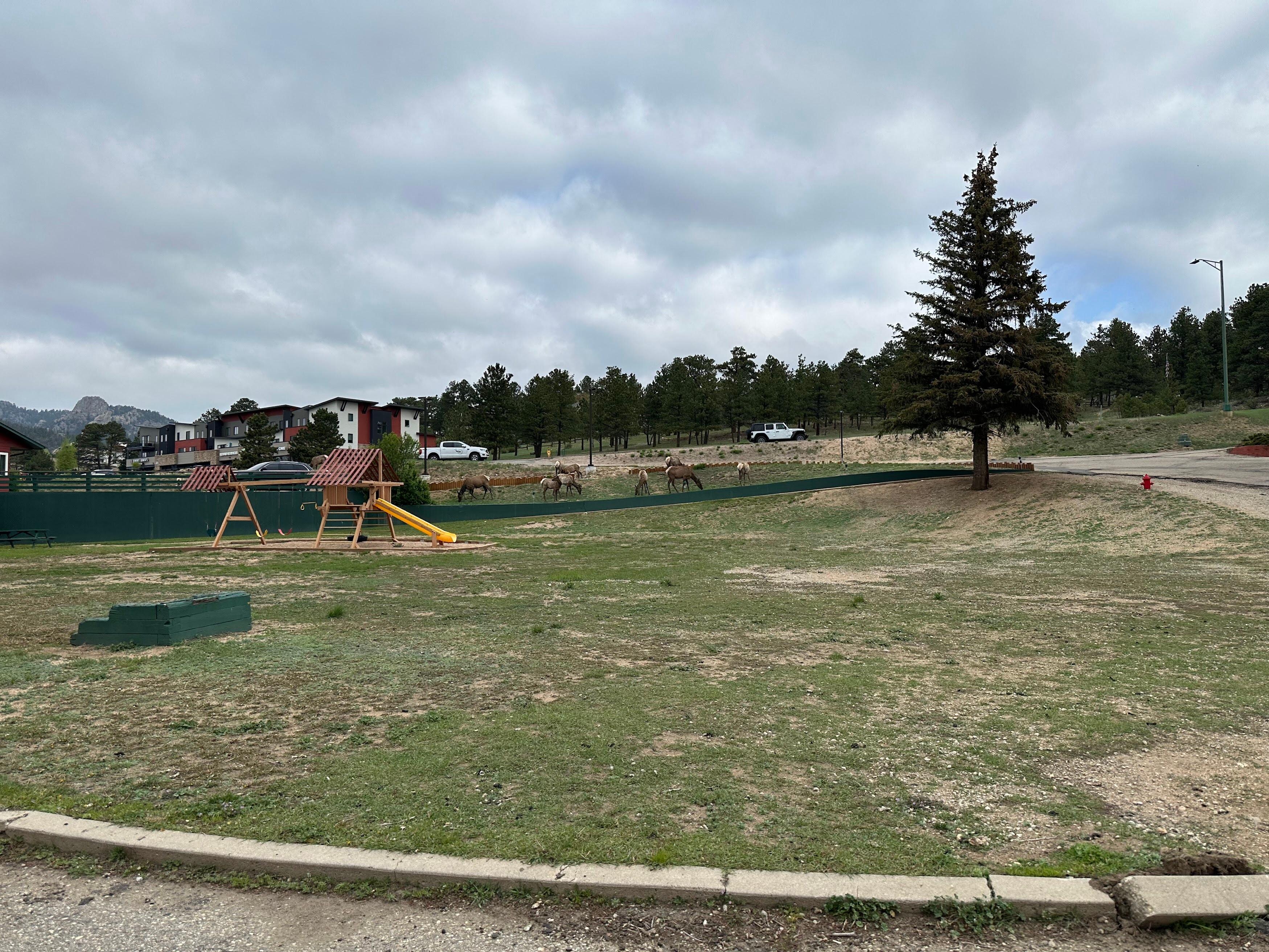 Lodge playground and elk