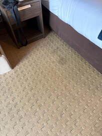 Stains everywhere on carpet