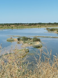 Vögelbrutgebiet