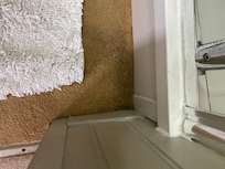 damp and stained carpet by shower