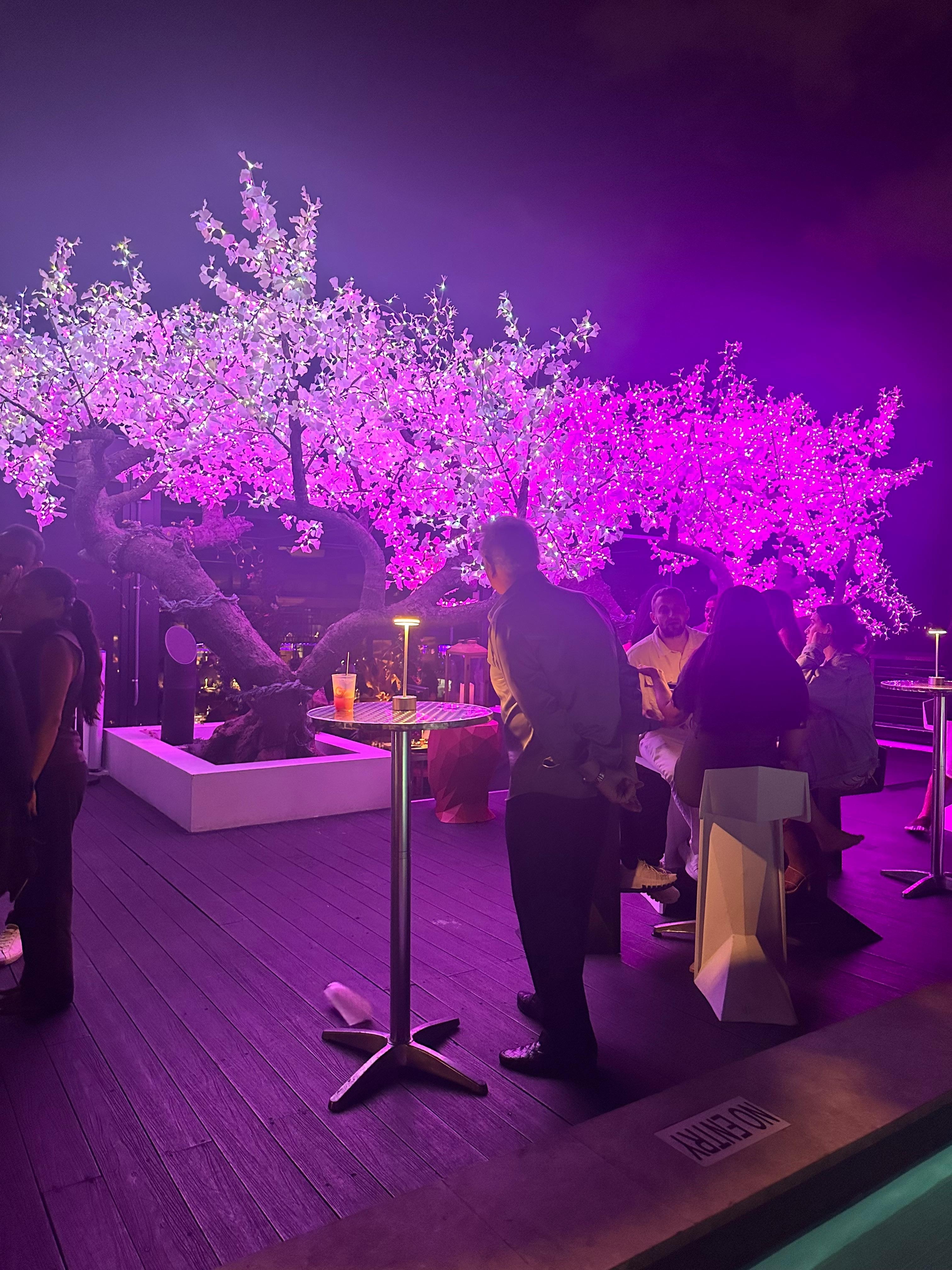 Lit up entry to roof bar