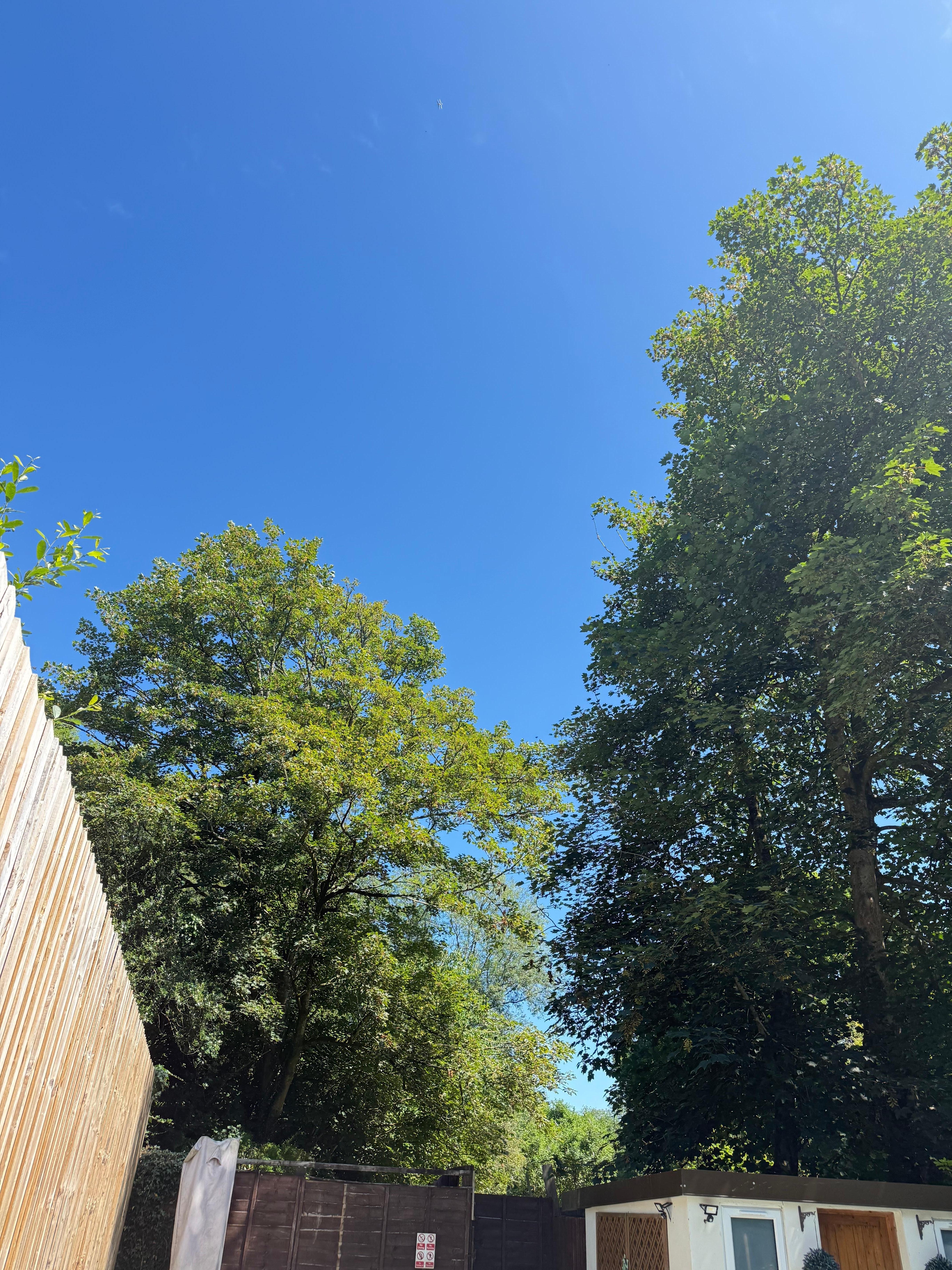 Sunny day by the pool