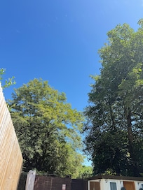 Sunny day by the pool