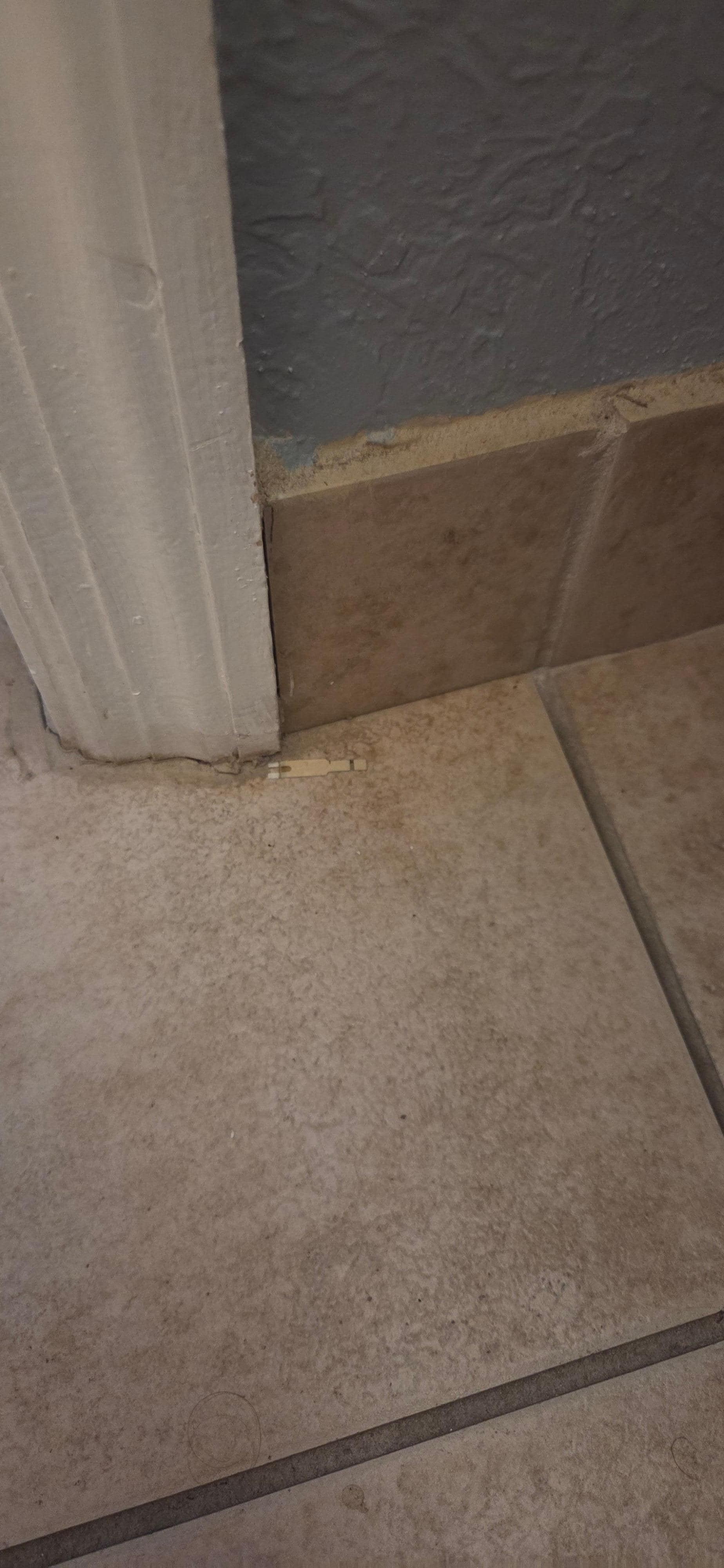 Blood sugar test strip left behind from previous renter?
