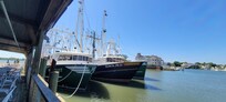 Maritime Trolley Tour & Wharf Walking Tour