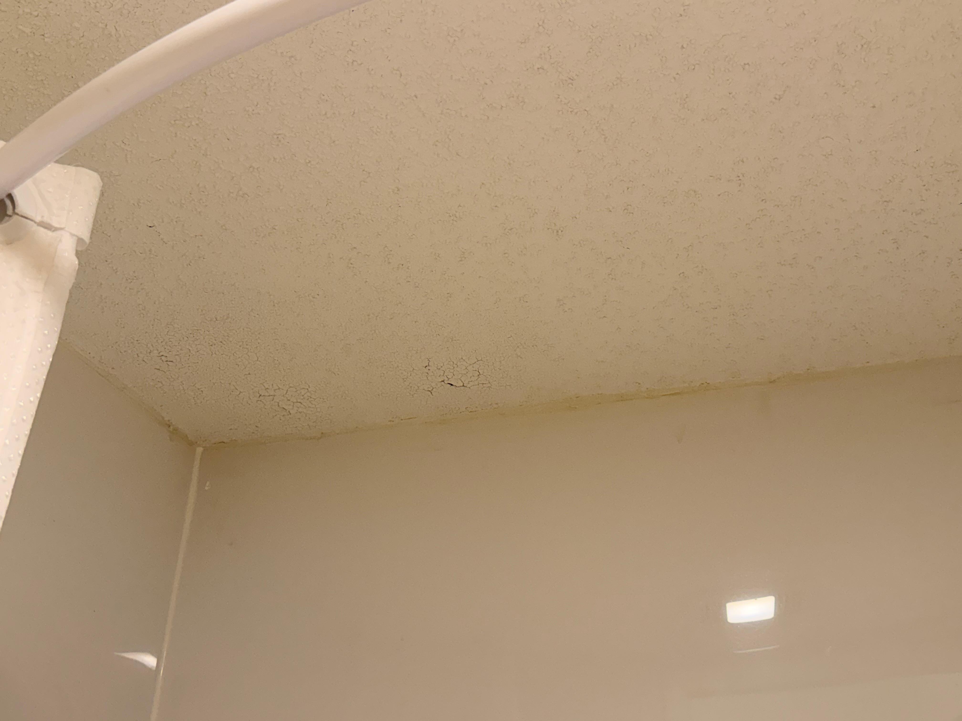 Ceiling in the bath area